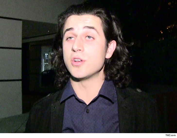 'Wizards of Waverly Place' Star David Henrie Avoids Jail in Airport Gun