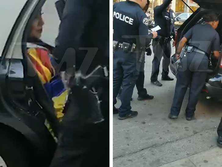 Snow White Arrested By LAPD For Aggressive Panhandling on Hollywood Blvd.