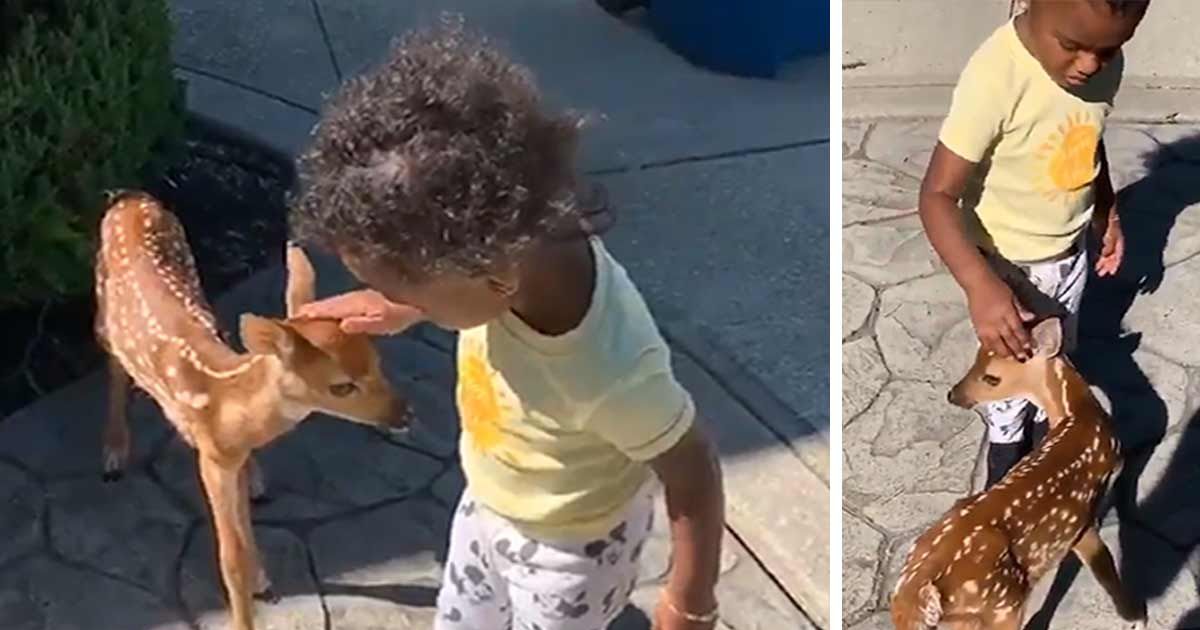 Jarvis Landry's Daughter Befriends Baby Deer In Most Adorable Video